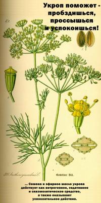 Прикрепленное изображение: 0_f809e_e612230e_orig.jpg